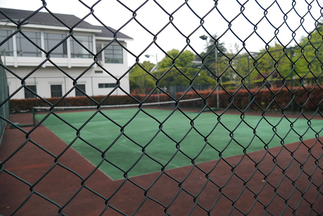 P2130778.JPG - 2018-上海DAY4