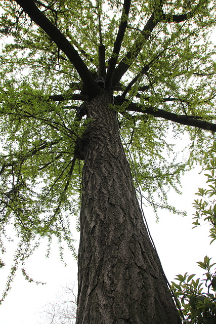 IMG_3768.JPG - 2018-上海DAY4