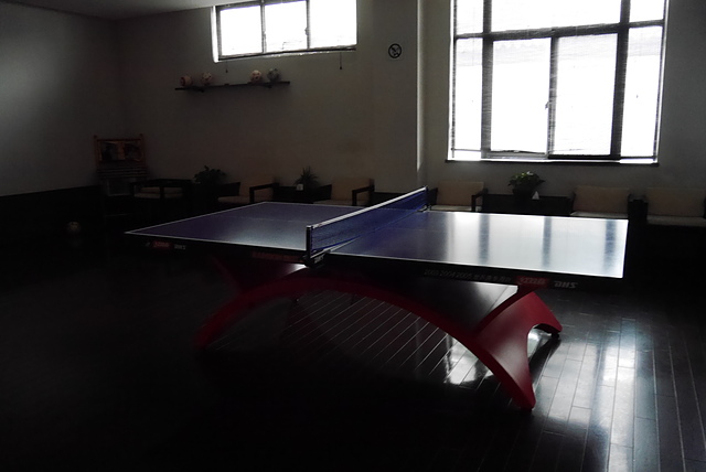 P2130776.JPG - 2018-上海DAY4