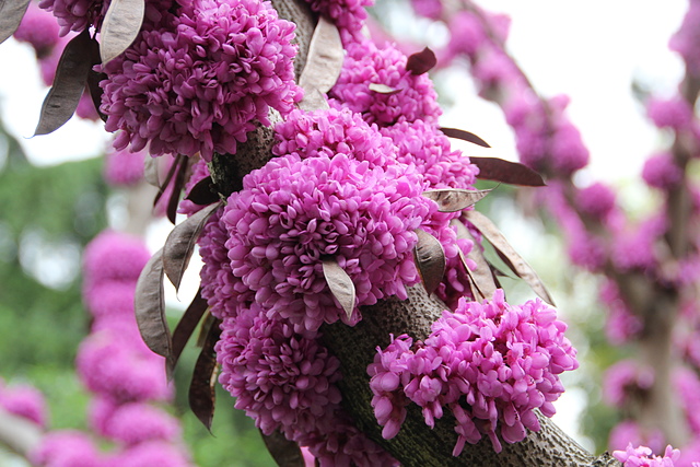 IMG_3820.JPG - 2018-上海DAY4