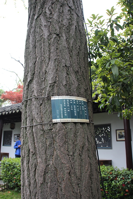 IMG_3767.JPG - 2018-上海DAY4