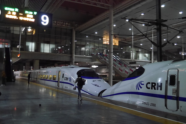 P2140160.JPG - 2018-上海DAY4