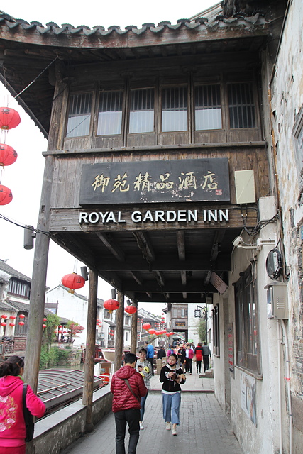 IMG_3878.JPG - 2018-上海DAY4