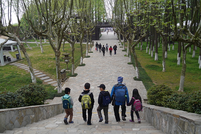 P2140205.JPG - 2018-上海DAY5