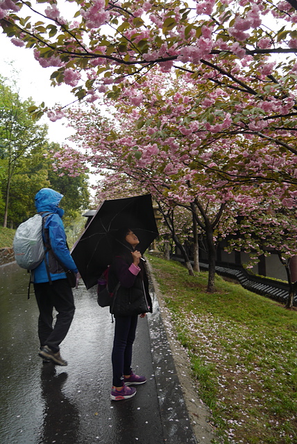 P2140398.JPG - 2018-上海DAY5