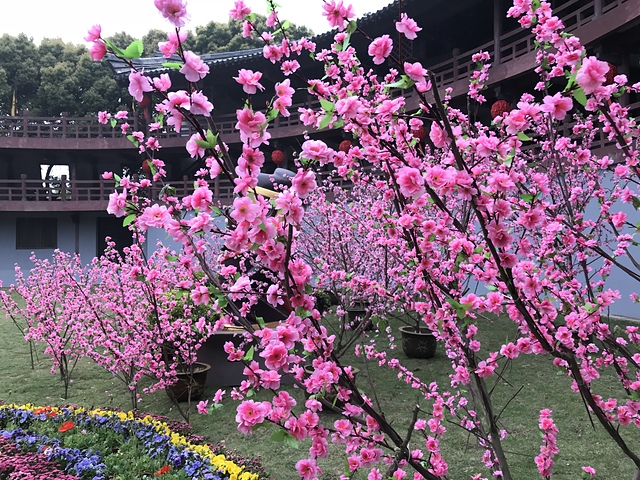 2018-04-05 11.38.52.jpg - 2018-上海DAY5