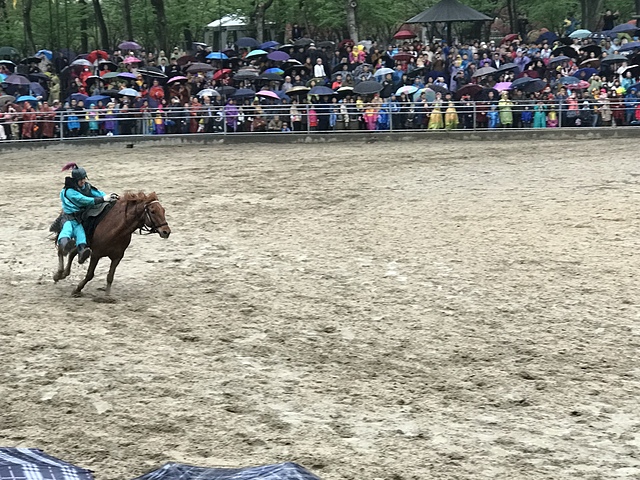 2018-04-05 16.03.56.jpg - 2018-上海DAY5