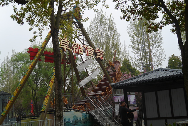 P2140253.JPG - 2018-上海DAY5