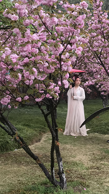 2018-04-05 13.13.02.png - 2018-上海DAY5