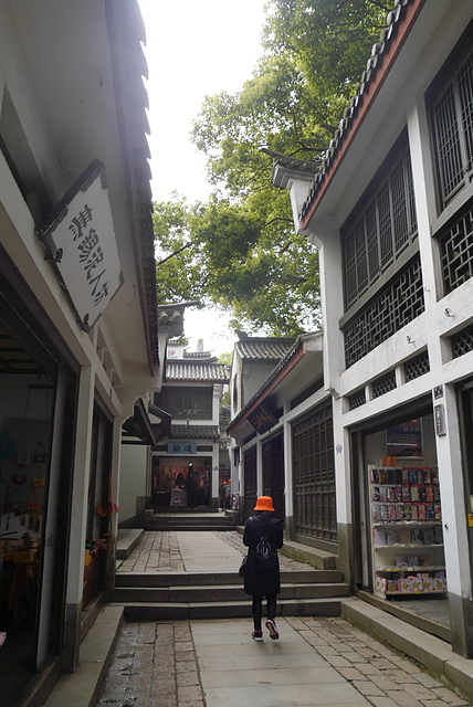 P2140601.JPG - 2018-上海DAY6