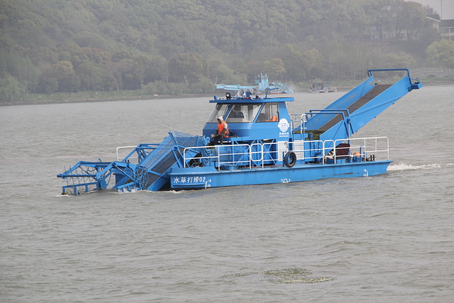 IMG_4091.JPG - 2018-上海DAY6