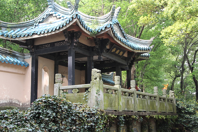 IMG_4130.JPG - 2018-上海DAY6