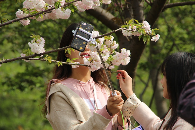 IMG_4383.JPG - 2018-上海DAY6