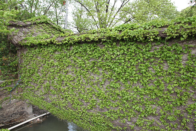 IMG_4361.jpg - 2018-上海DAY6