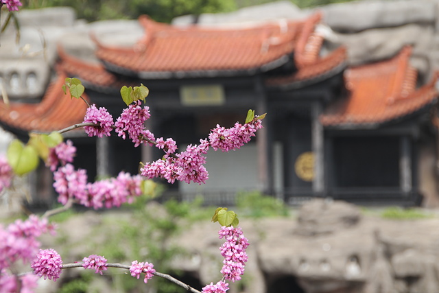 IMG_4193.JPG - 2018-上海DAY6