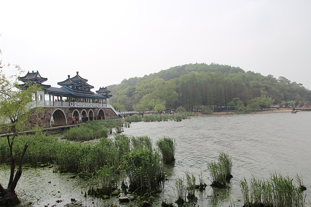 IMG_4115.JPG - 2018-上海DAY6