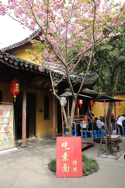 IMG_4336.JPG - 2018-上海DAY6