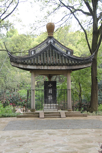 IMG_4357.JPG - 2018-上海DAY6