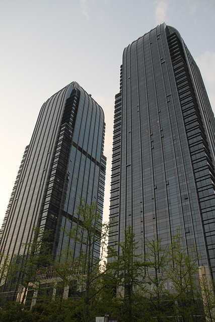 IMG_4461.JPG - 2018-上海DAY6