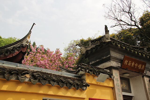 IMG_4345.JPG - 2018-上海DAY6