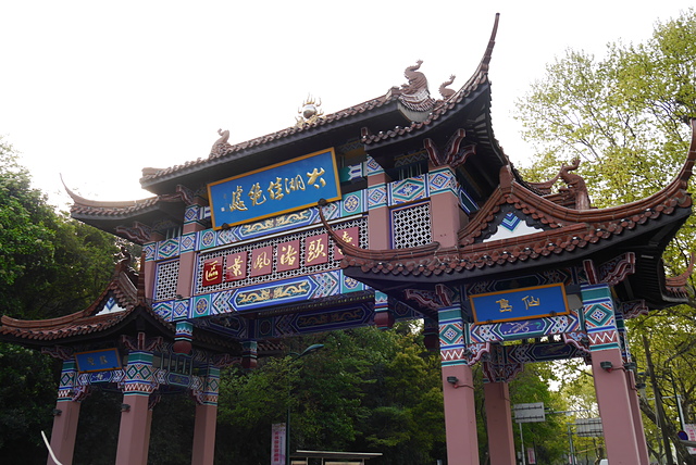 P2150095.JPG - 2018-上海DAY6