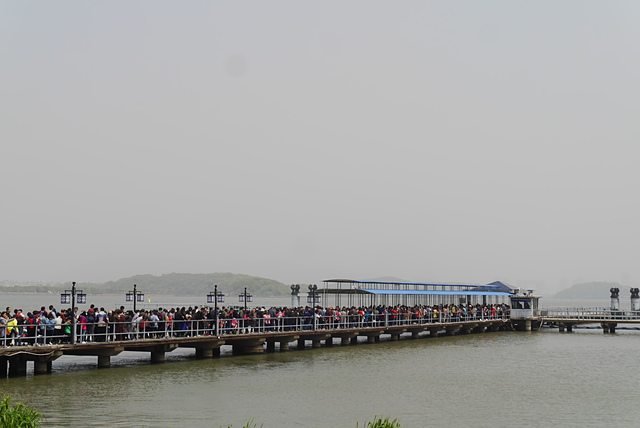 P2140755.JPG - 2018-上海DAY6