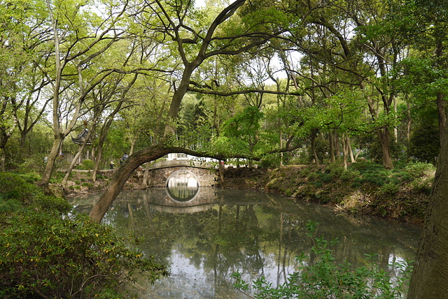 P2140910.JPG - 2018-上海DAY6