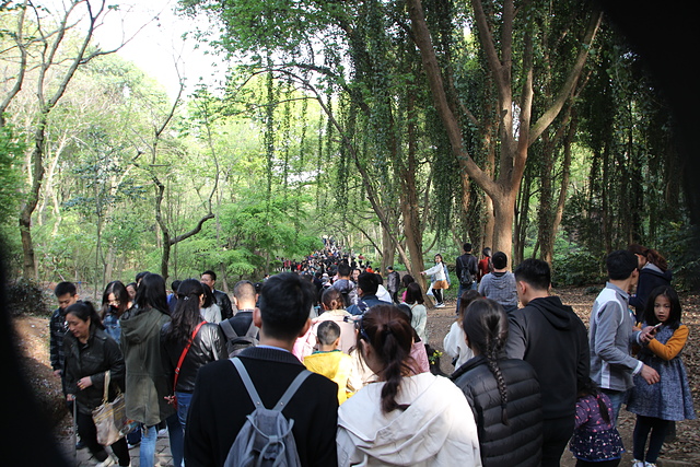 IMG_4433.JPG - 2018-上海DAY6