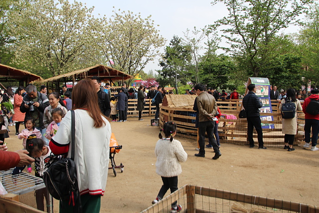 IMG_4374.JPG - 2018-上海DAY6