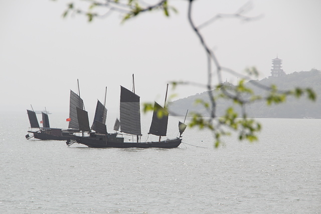 IMG_4274.JPG - 2018-上海DAY6