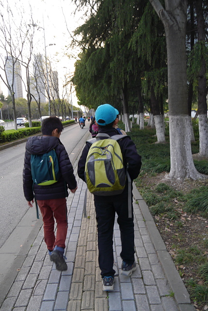 P2150159.JPG - 2018-上海DAY6