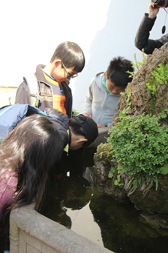 IMG_4681.JPG - 2018-上海DAY7