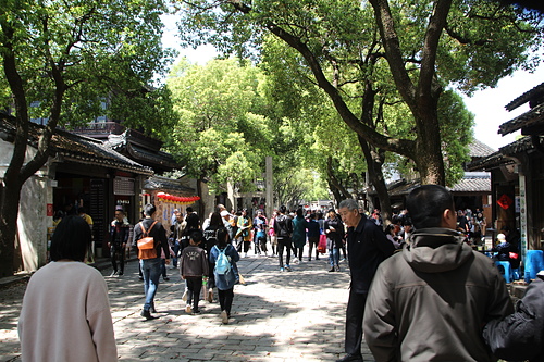 IMG_4590.JPG - 2018-上海DAY7