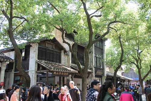 IMG_4569.jpg - 2018-上海DAY7