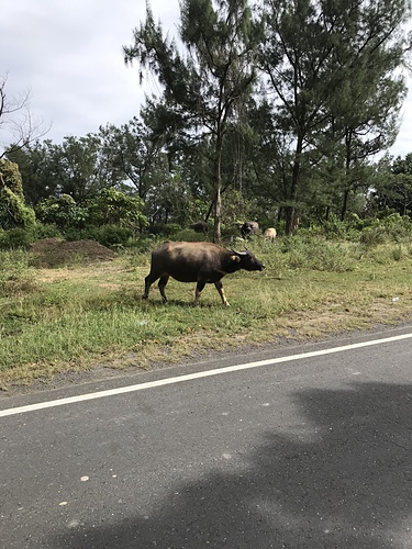 2017-12-02 11.50.35.jpg - 不老騎士團3