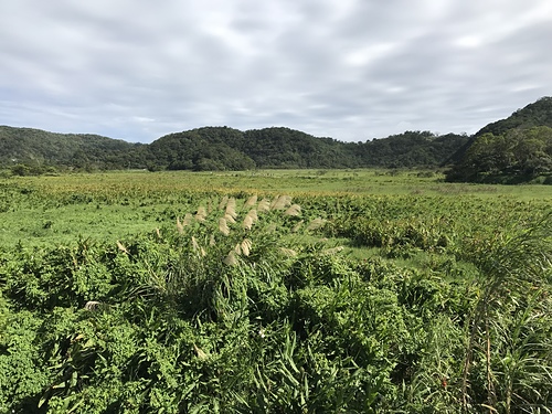 2017-12-02 11.10.25.jpg - 不老騎士團3