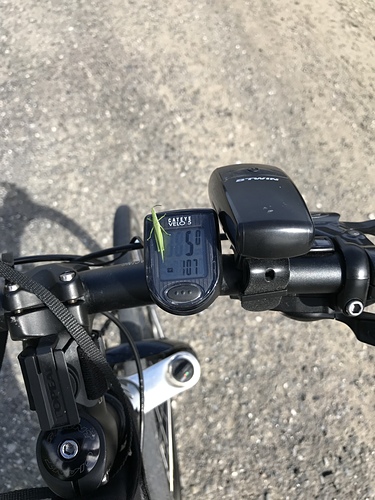 2017-12-02 13.07.09-1.jpg - 不老騎士團3