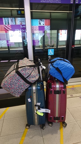 2018-04-08 18.31.23.jpg - 2018-上海DAY8