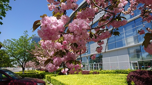 2018-04-08 10.51.14.jpg - 2018-上海DAY8