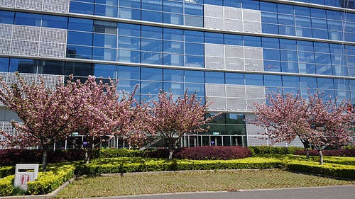 2018-04-08 10.47.54.jpg - 2018-上海DAY8