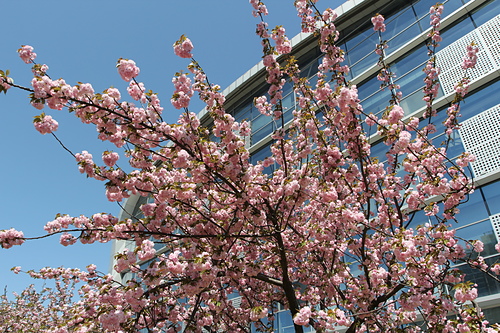 IMG_4907.JPG - 2018-上海DAY8