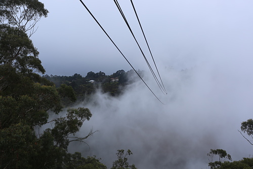 IMG_2800.JPG - 澳洲DAY3