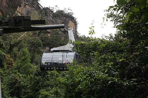 IMG_2972.JPG - 澳洲DAY3