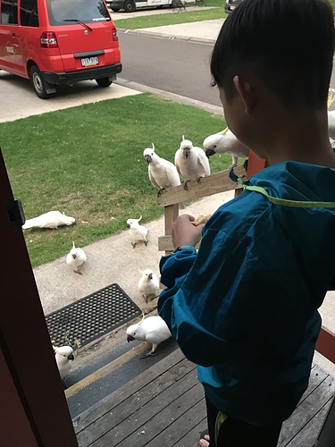 2019-01-21 20.05.26.jpg - 澳洲DAY3