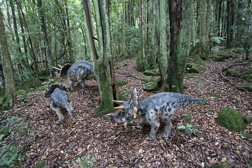 IMG_2868.JPG - 澳洲DAY3