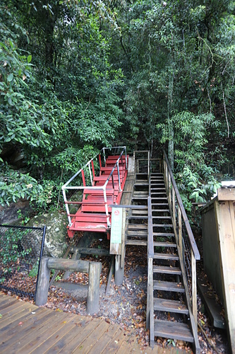 IMG_2773.JPG - 澳洲DAY3