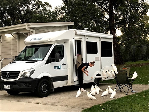 IMG_5581.jpg - 澳洲DAY3