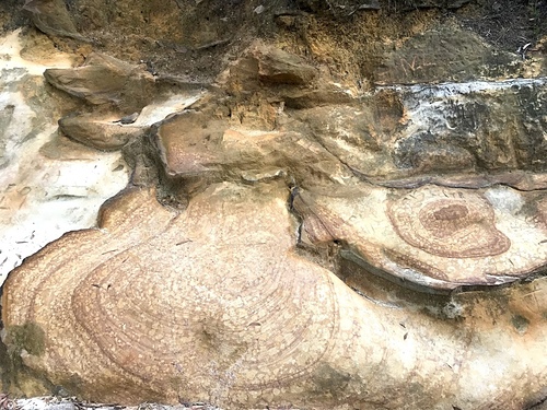 IMG_5570.jpg - 澳洲DAY3