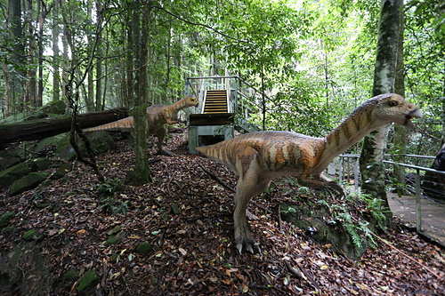 IMG_2864.JPG - 澳洲DAY3