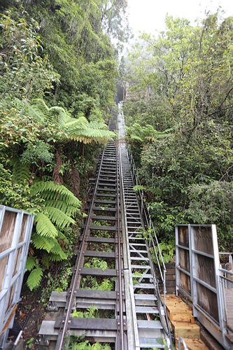 IMG_2771.JPG - 澳洲DAY3